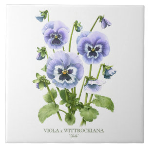 Carreau Art de style botanique floral Pansy violet