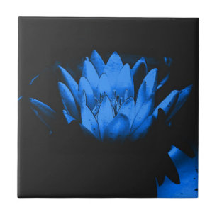 Carreau Art floral Lotus Bleu Lumineux 