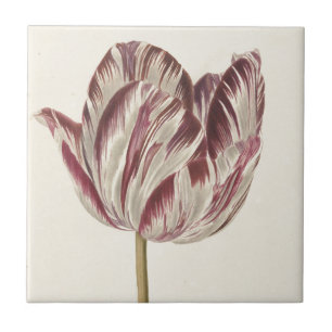 Carreau Art néerlandais vintage : Tulipe blanche et rouge