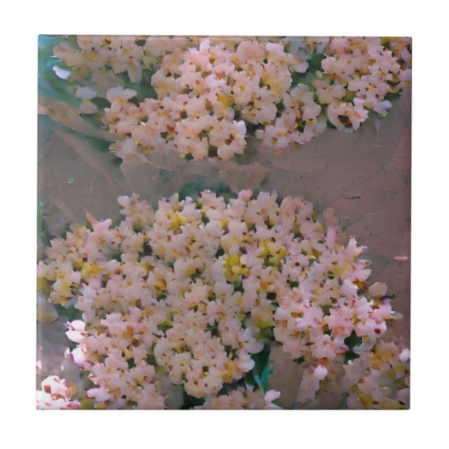 Carreau Art numérique rose et blanc (Devant)