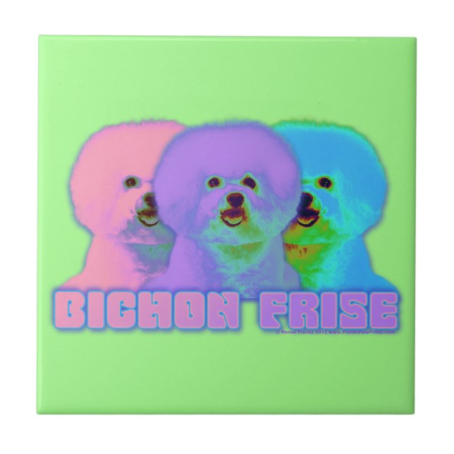 Carreau Art op - Bichon Frise - Cody (Devant)