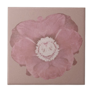 Carreau Art rose rustique de fleur