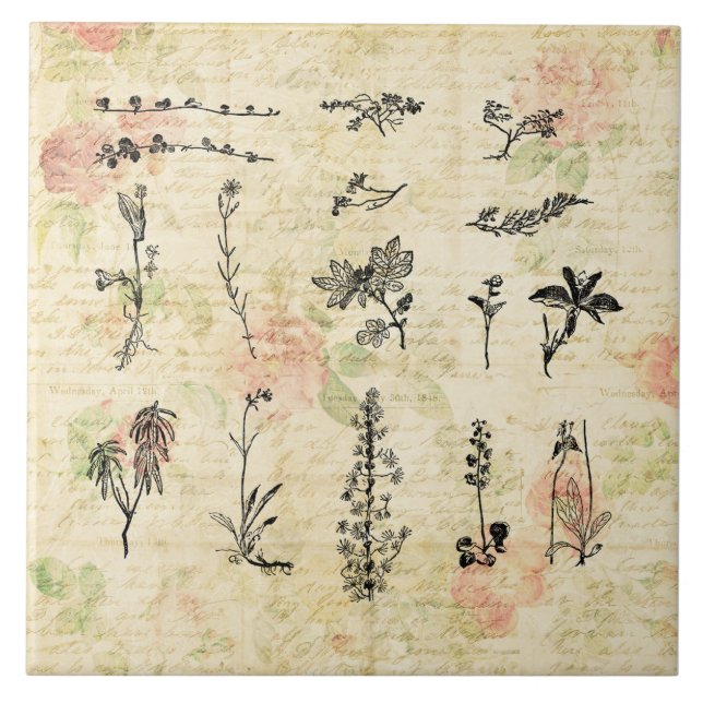 Carreau Art Script Floral Fleur sauvage vintage (Devant)