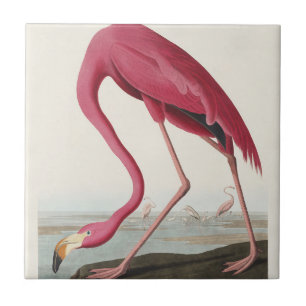 Carreau Art vintage d'Audubon sur le flamant rose américai