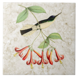 Carreau Art vintage de nature de colibri féerique pourpre