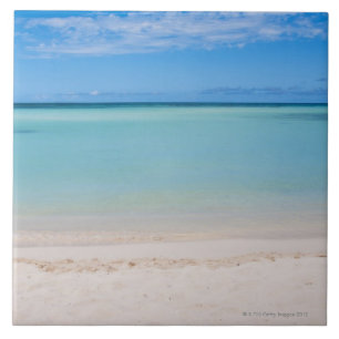 Carreau Aruba, plage et mer 3