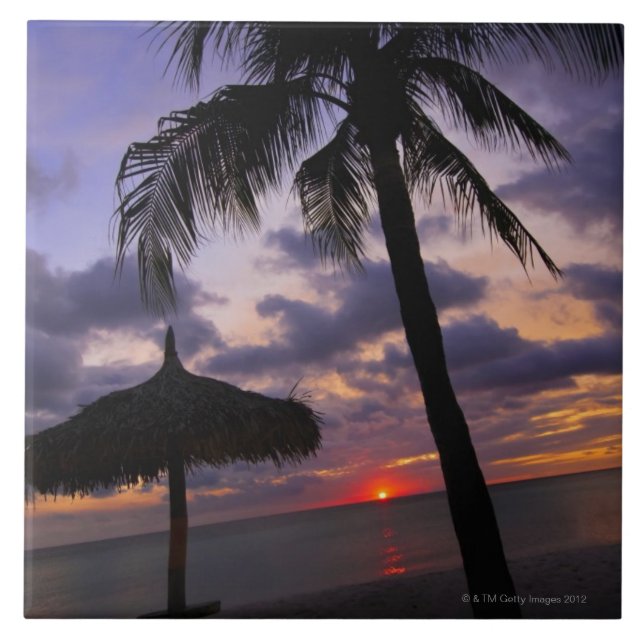 Carreau Aruba, silhouette de palmier et de palapa dessus (Devant)