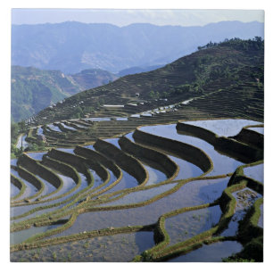 Carreau Asie, Chine, Yunnan, Yuanyang. Accidenté