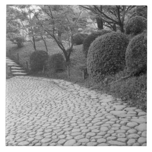 Carreau Asie, Japon, Hiroshima. Shukkei-en, jardin