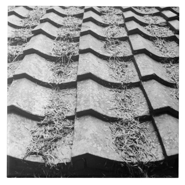 Carreau Asie, Japon, Miyajima. Détail du toit en argile (Devant)