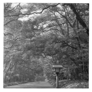 Carreau Asie, Japon, Tokyo, terrains du sanctuaire Meiji,