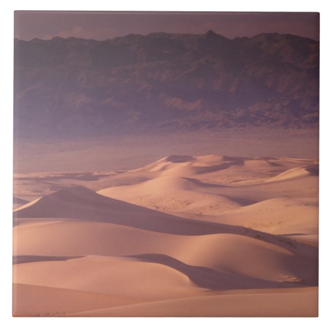 Carreau Asie, Mongolie, Désert de Gobi, Gobi Gurvansaikhan (Devant)