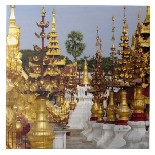 Carreau Asie, Myanmar (Birmanie), Bagan (Pagan). Le Shwe 5