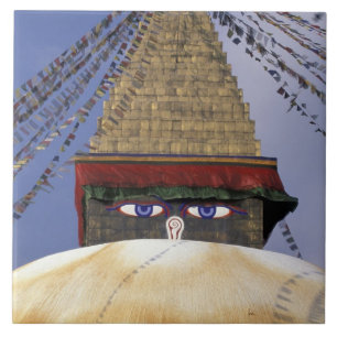 Carreau Asie, Népal, Katmandou. Stupa de Bouddhanath. 2