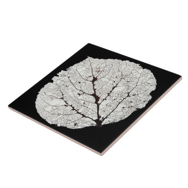 Carreau Aspen Feuille Squelette 1 (Côté)