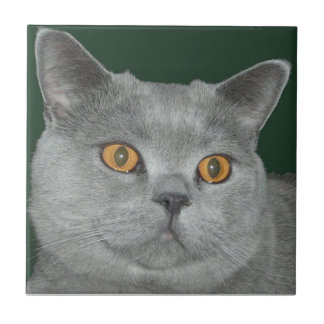 Carreau Assez tuile de Kitty observée par orange