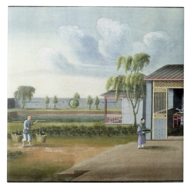 Carreau Assortissant le thé (la semaine sur le papier) (Devant)