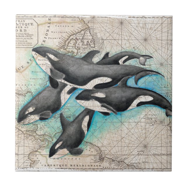 Carreau Atlas de carte d'orque (Devant)