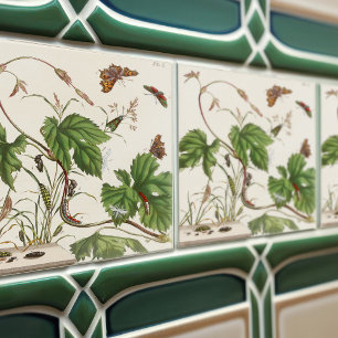 Carreau Atlas vintage des Plantes botaniques et des insect