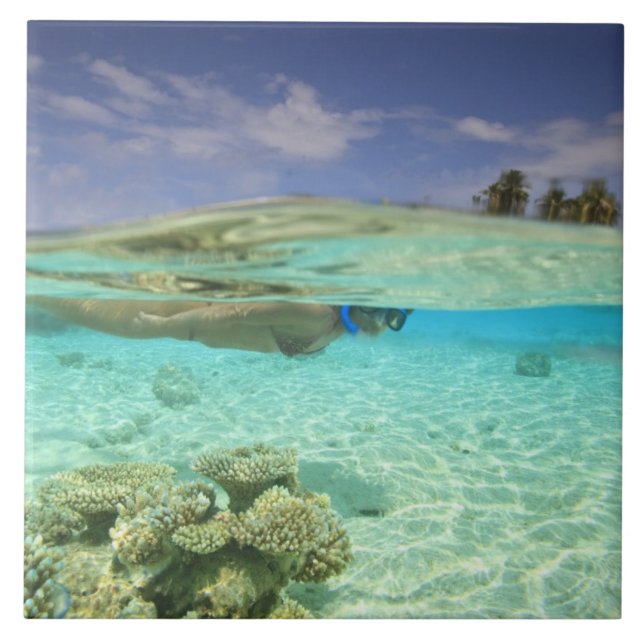 Carreau Atoll Huvadhu Sud, Maldives du Sud, Indien (Devant)