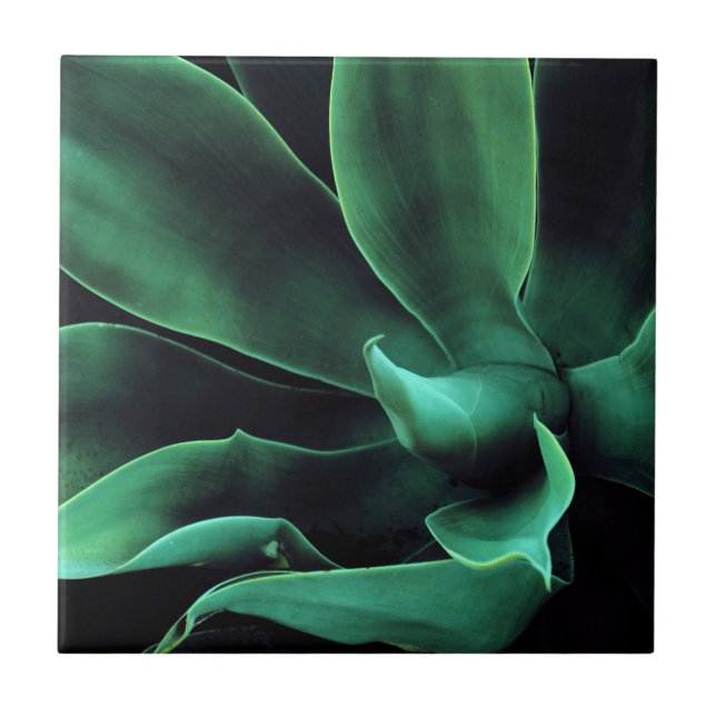 Carreau Atténuata Agave Vert (Devant)