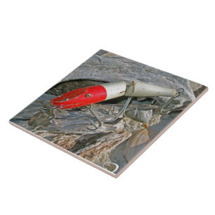 Carreau Attrait roux de Pikie joint par chabot de crique -