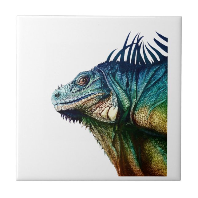 CARREAU ATTRAPÉ EN QUELQUES MOMENTS (Devant)