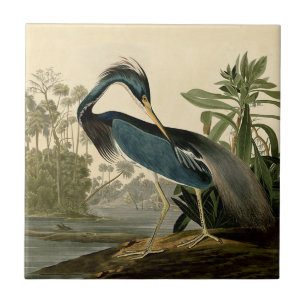 Carreau Audubon Héron de Louisiane Oiseaux Amérique Art