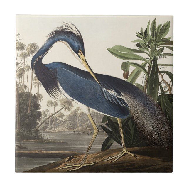 Carreau Audubon Louisiana Heron Birds of America Art Impri (Devant)