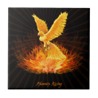 Carreau Augmentation de Phoenix