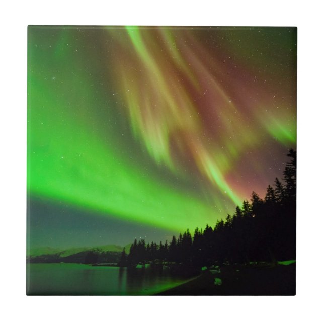 Carreau Aurora de Bourgogne (Devant)