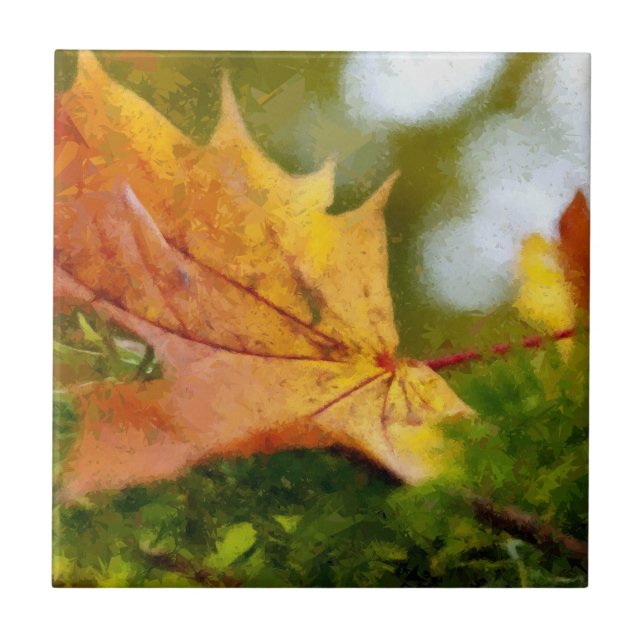 Carreau Automne (Devant)