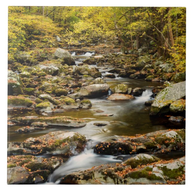 Carreau Automne à Big Creek (Devant)