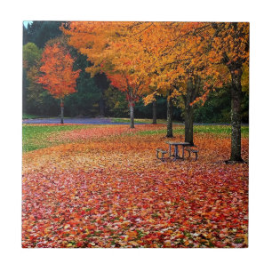 Carreau Automne dans le parc