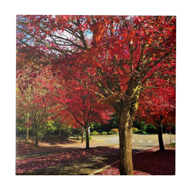 Carreau Automne dans le quartier, Oregon (Devant)