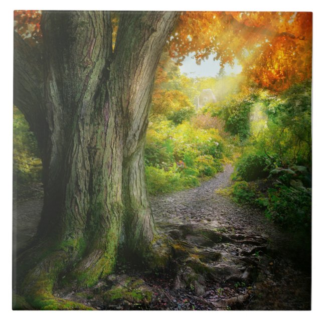 Carreau Automne - Le chemin vers la maison de grand-mère (Devant)