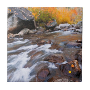 Carreau Automne le long de Bishop Creek, CA