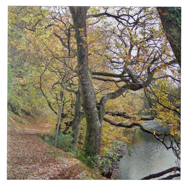 CARREAU AUTOMNE PAR LE LAC (Devant)