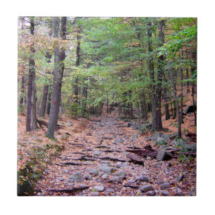 Carreau Automne sur Blue Hills Réservation Red Dot Trail