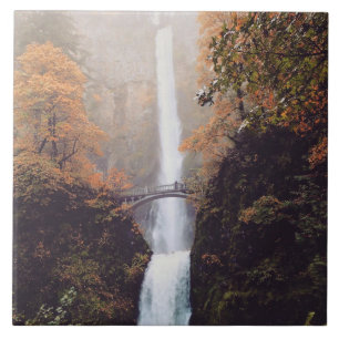 Carreau Autumn at Multnomah Falls