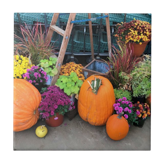 Carreau Autumn Decor (Devant)