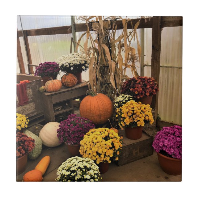 Carreau Autumn Decor (Devant)