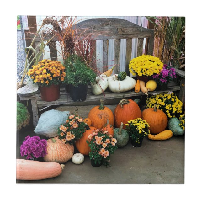 Carreau Autumn Decor (Devant)