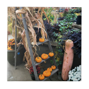 Carreau Autumn Decor