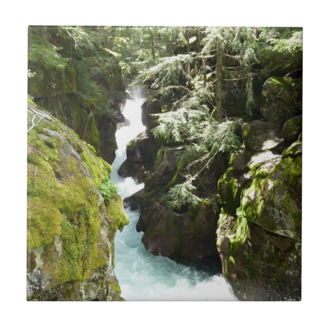 Carreau Avalanche Gorge II dans le parc national de Glacie (Devant)