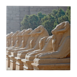 Carreau Avenue des sphinx dans le temple de Karnak - Egypt