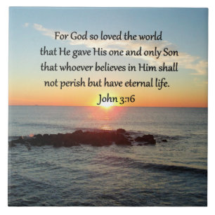 CARREAU AWE-INSPIRING JOHN 3:16 SCELER