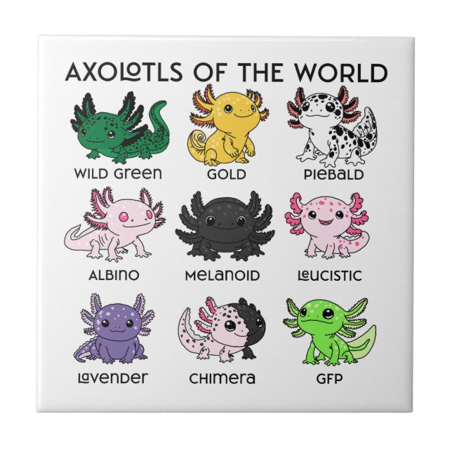 Carreau Axolotls mignons du monde (Devant)