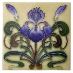 Carreau Azulejo Carrelage Art nouveau cheminée décorative<br><div class="desc">Art Nouveu Carreaux muraux en céramique, ce design est une reproduction faite d'un vieux carreau des années 1880 aux années 1920, le carrelage est lisse et plat, il n'est pas 3D, spécial à utiliser dans les murs intérieurs, arrière-plans de cuisine, murs de salle de bain, décorations cheminée, dessous de verre,...</div>