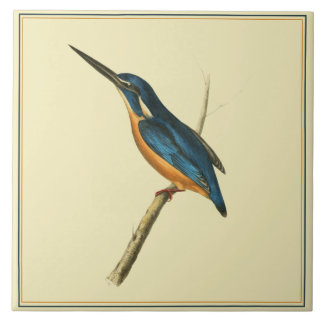 Carreau Azure Kingfisher